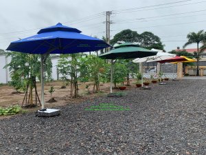 Kinh Nghiệm Mua Dù Che Ngoài Trời Bền Đẹp, Chịu Nắng Mưa Tốt